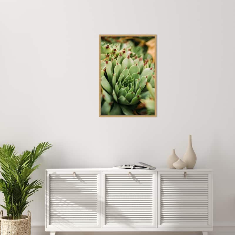 Succulent Whorl by Javier Pardina Framed Canvas Wall Art Print - Sylvie Bright Gold
