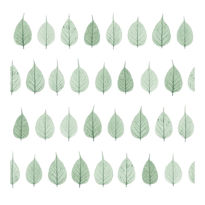 ESTA Home Greenhouse Green Leaves Wallpaper - 20.5 x 396 x 0.025