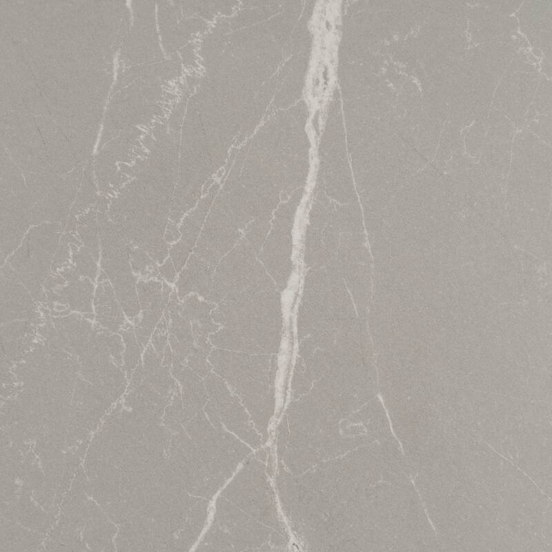 Regalia 24x48 in. Matte Porcelain Marble-look Vein Large Wall and Floor Tile (15.5 sq ft/case, 2-Pack)