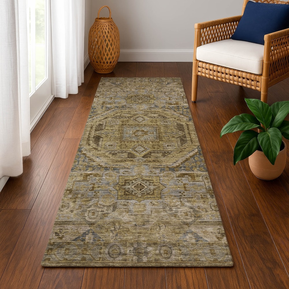 Premium Washable Super Soft Vintage Traditional Mayfield Rug