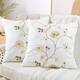 Option Gold Spring Flower