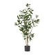 preview thumbnail 12 of 11, Atoka 5.5' x 2' Artificial Laurel Tree by Christopher Knight Home