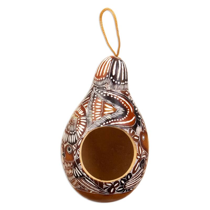 Novica Handmade Garden Chant Dried Gourd Birdhouse