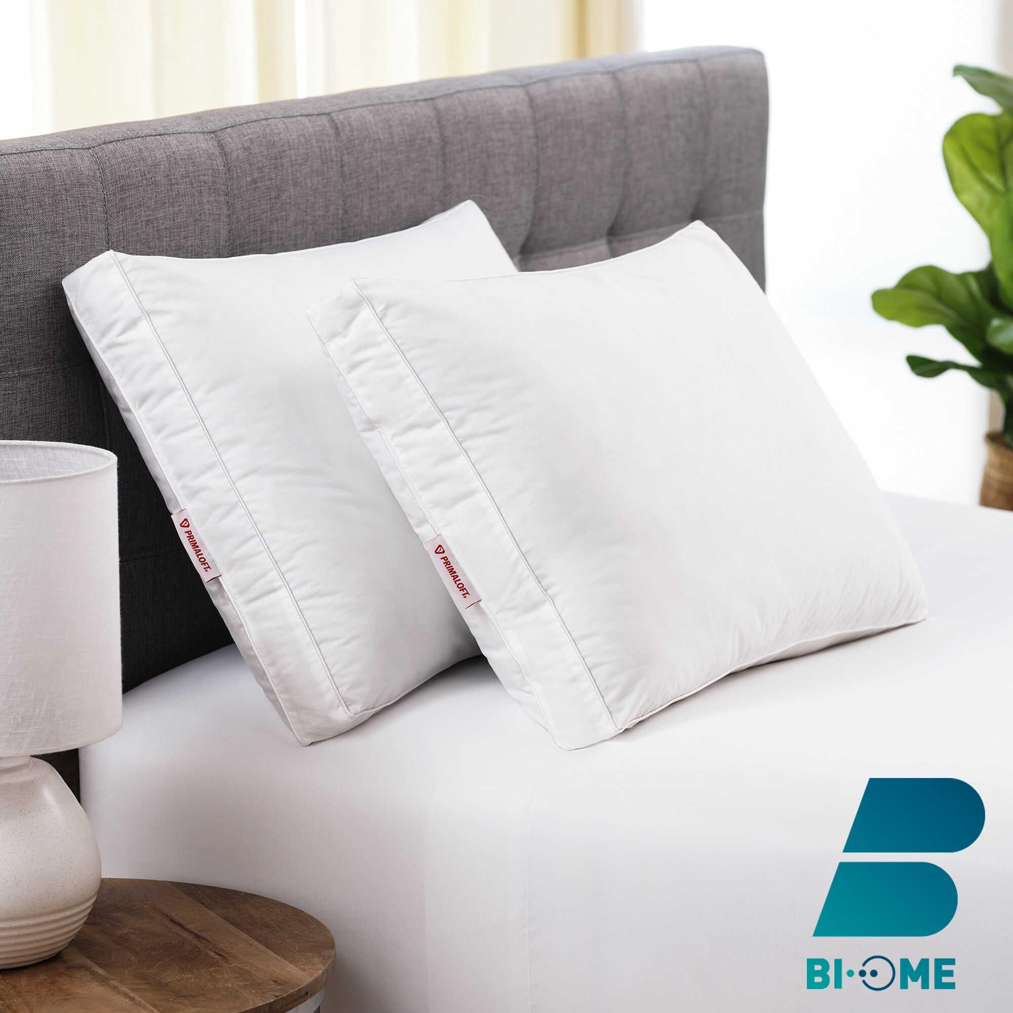 BI OME Primaloft Anti microbial Gusset Pillow by Cozy Classics White