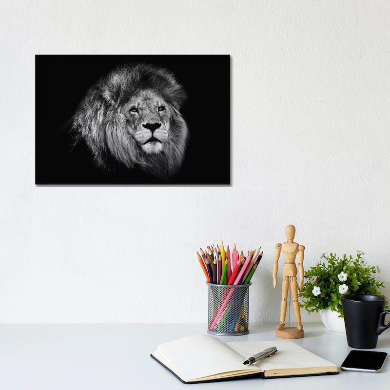 iCanvas "African Lion In Black And White" by David Whelan Canvas Print - 8x12x0.75