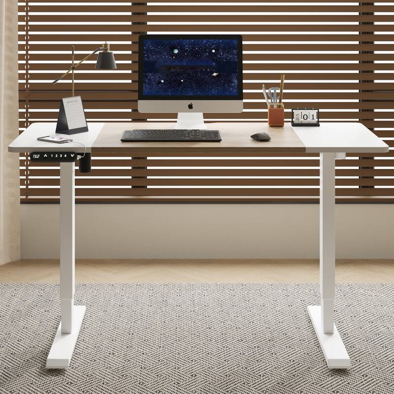 Rossetta 55" Electric Height Adjustable Standing Desk with Double Beam Single Motor