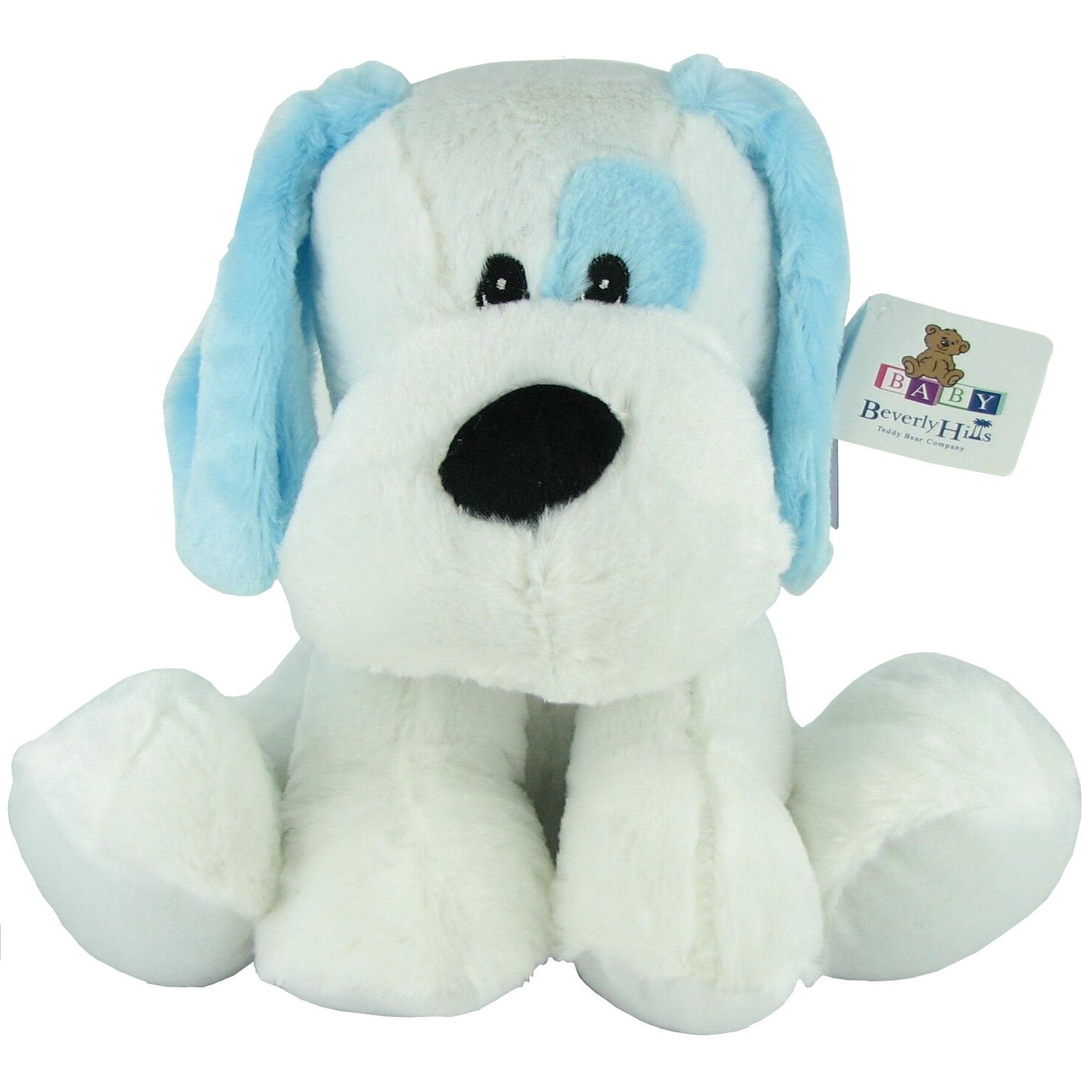 blue dog teddy