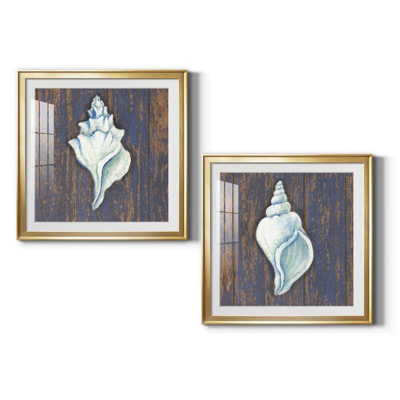 Weathered Shell I Premium Framed Print - Ready to Hang