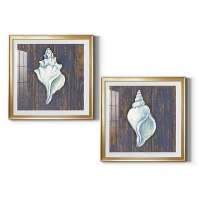 Weathered Shell I Premium Framed Print - Ready to Hang