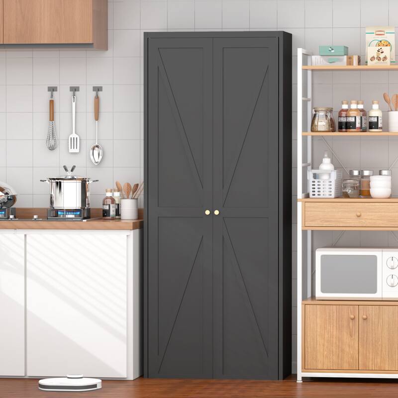 2 Doors Metal Storage Cabinet Kitchen Pantry Cabinet With Adjustable Shelves Tall Steel Cabinet Locker