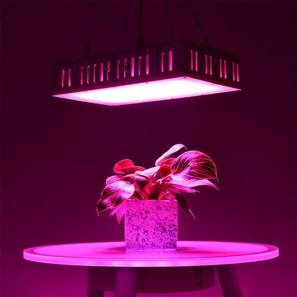 Led grow lights 1500 watt on sale