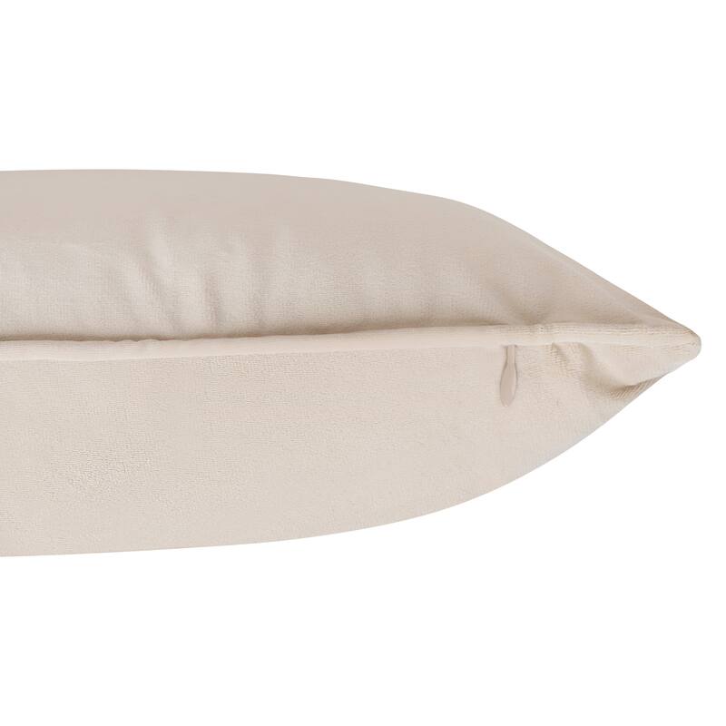 A1HC Set of 2 Luxurious Fine Soft Velvet Throw Pillow Covers Only, For Sofas, Beds, Vibrant Colors and Hidden Zipper