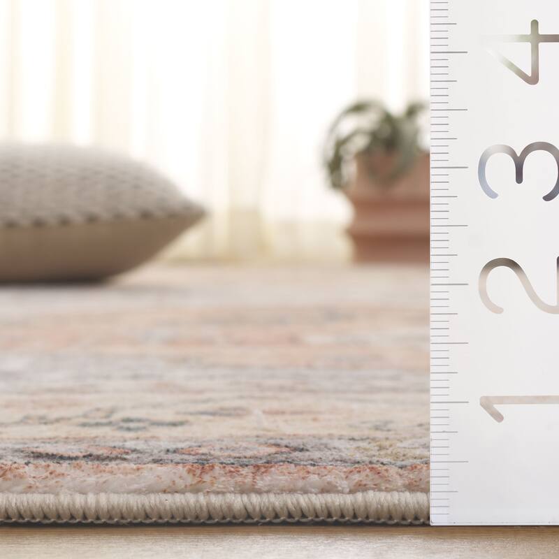 SAFAVIEH Montana Virginija Shabby Chic Oriental Rug