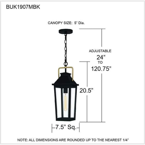 Buckley 1-Light Matte Black Outdoor Hanging Lantern