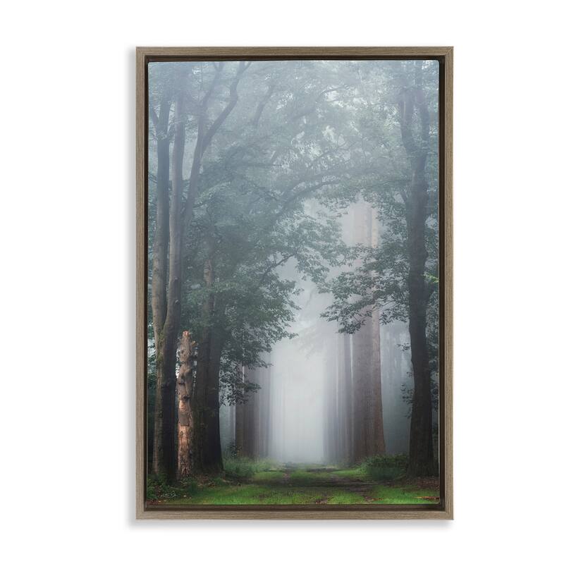 Stupell Calm Forest Clearing Framed Floater Canvas Wall Art Design By Martin Podt - 21 x 31 - Brown