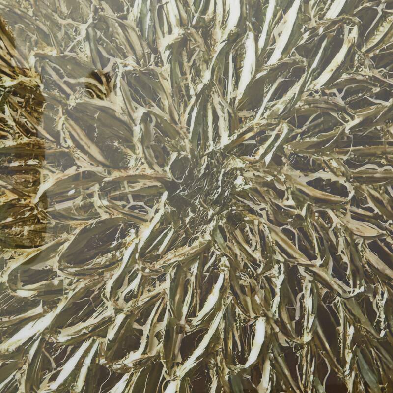 Porcelain Ceramic Starburst Scales Living Room Wall Decor with Gold Aluminum Frame - Set of 2 Gold - CosmoLiving by Cosmopolitan