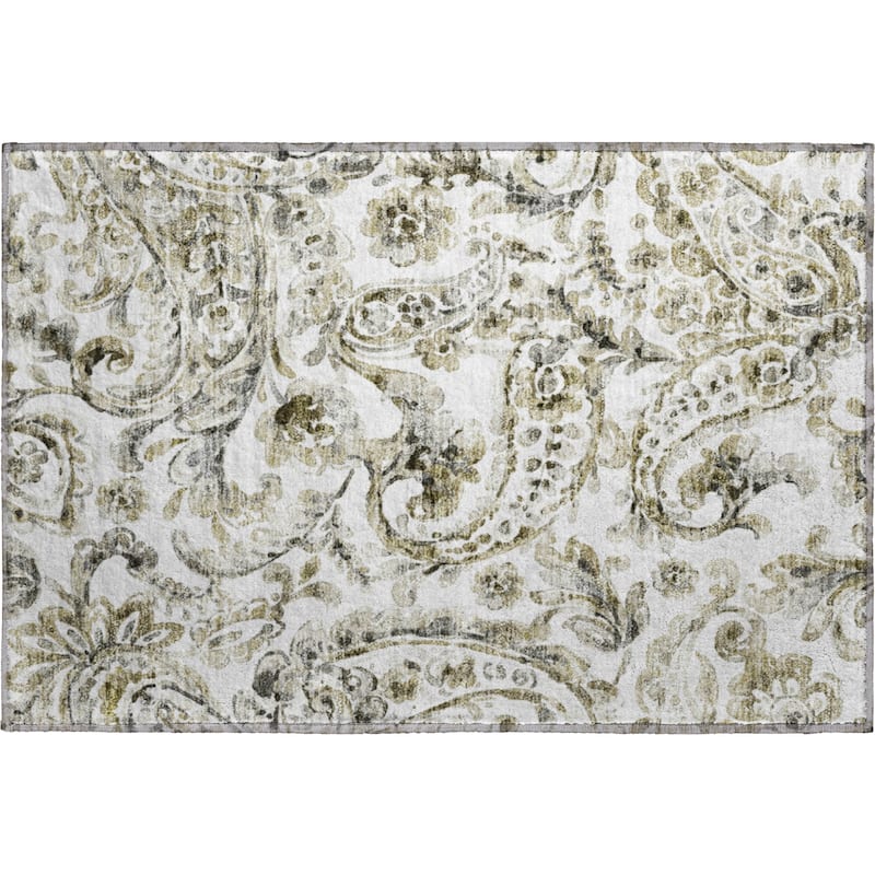 Premium Washable Super Soft Modern Paisley Mayfield Rug