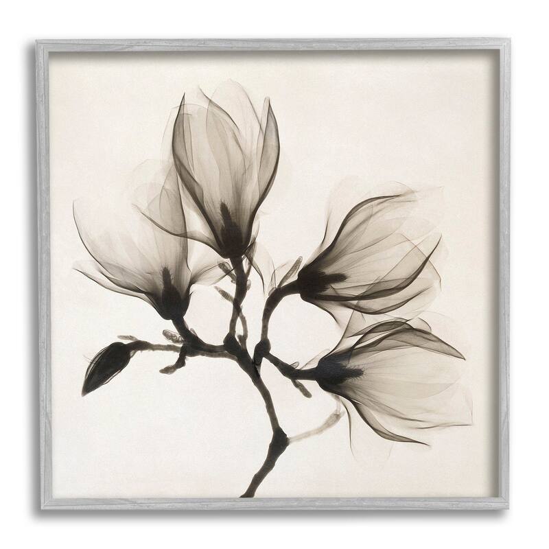 Stupell Sepia Tone Tree Blossom Florals Translucent Flowers Framed Wall Art - Black - 12 x 12 - Grey