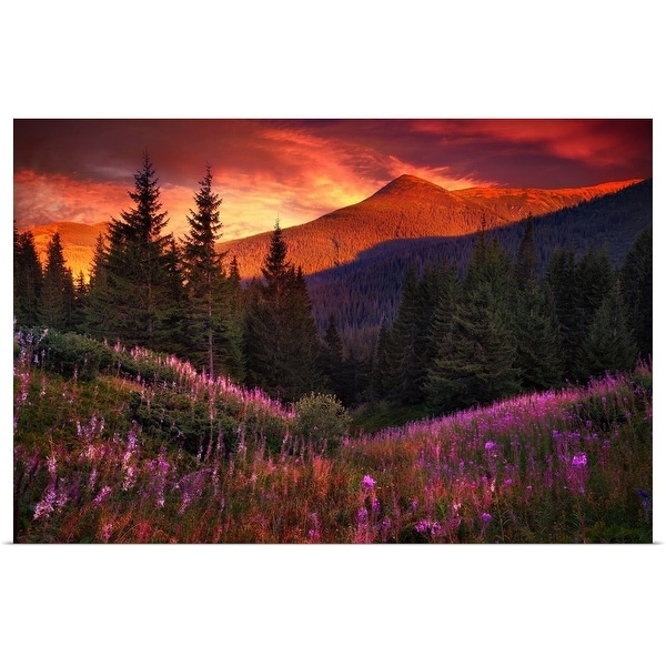 "Mountain flowers in pine forest" Poster Print