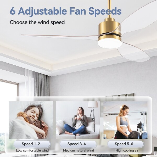 Amazon.com: 52