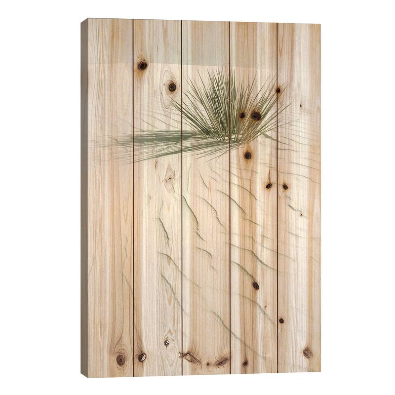White Sands Idyllic Scenery | Vintage Print On Wood by Melanie Viola - Multi-Color - 26x18x1.5