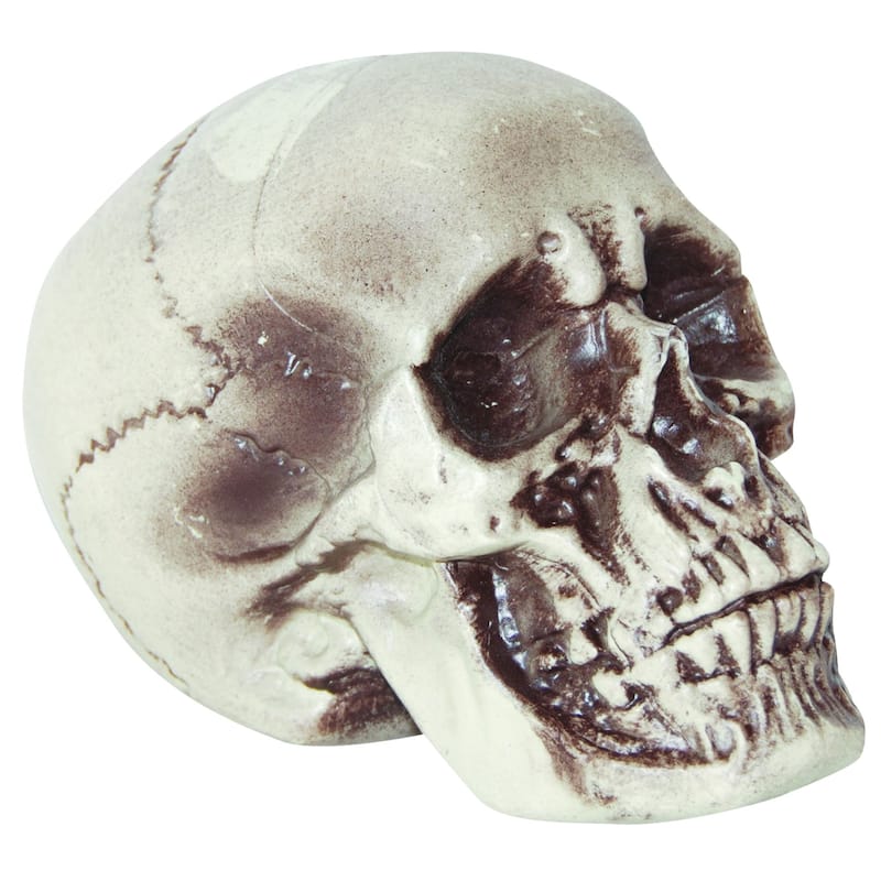 7" Silver Realistic Skull Adult Halloween Prop