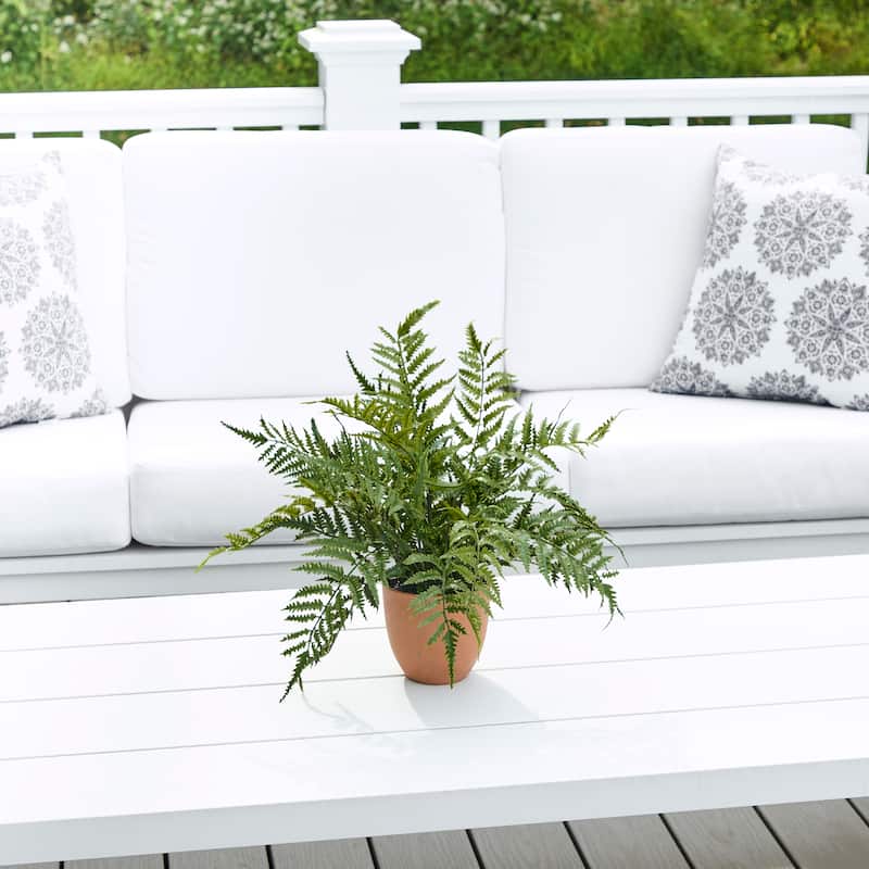 19" Potted UV Leather Fern