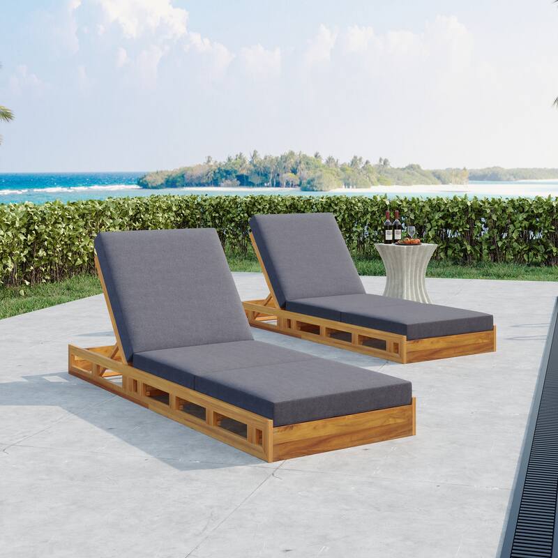 Outdoor Patio Chaise Lounge Chairs Adjustable Backrest Lounge Chairs with Water-repellent Cushions for Poolside Balcony Garden