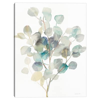 Eucalyptus III Canvas Art Print