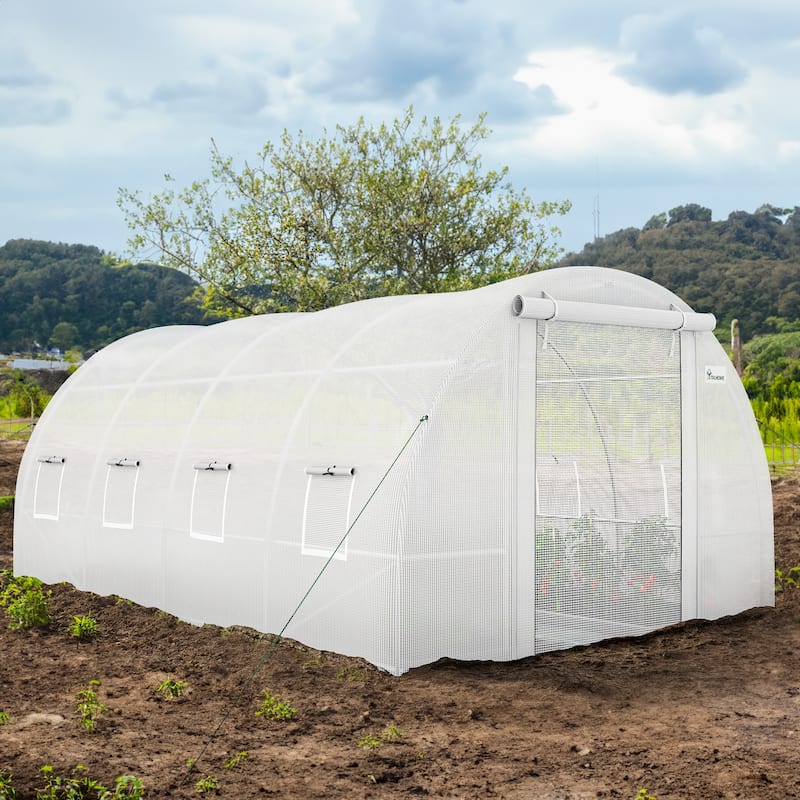 Moasis Greenhouse with Steel Frame, PE Cover