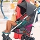 preview thumbnail 11 of 24, Chicco Liteway Stroller