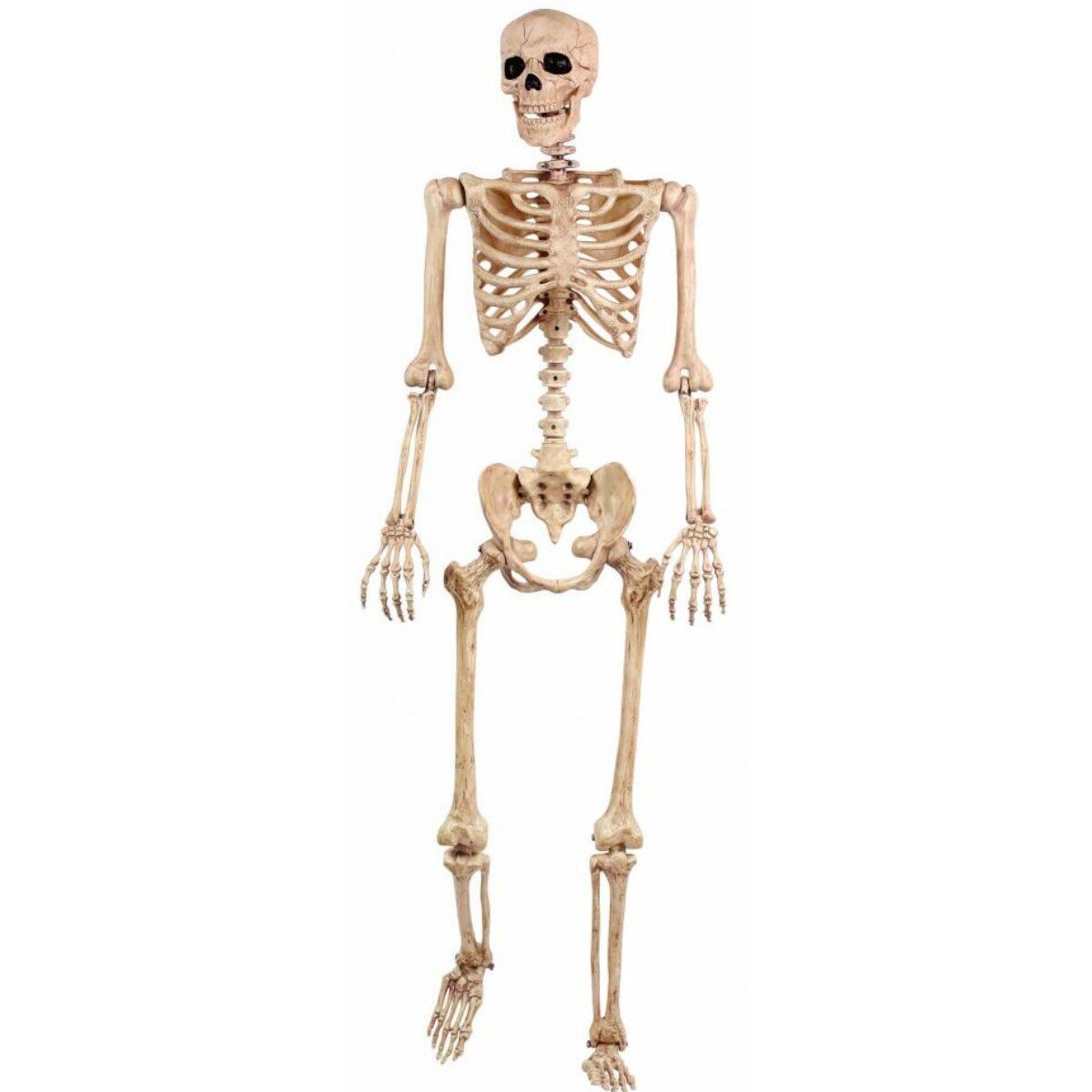Shop Seasons 18965 Life Size Realistic Pose N Stay Halloween
