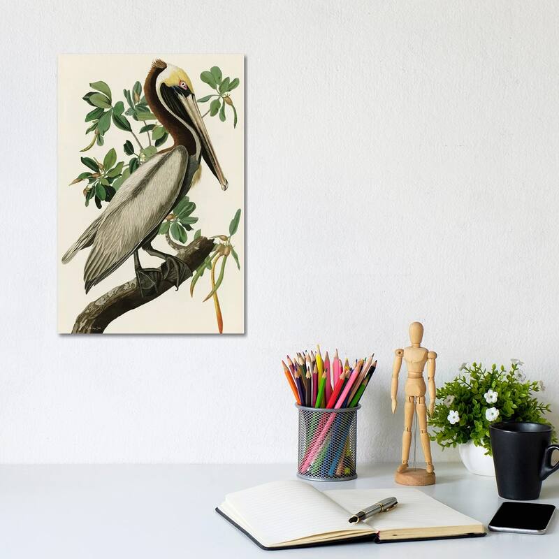 iCanvas "Audubon Brown Pelican" by Stellar Design Studio Canvas Print - 12x8x0.75