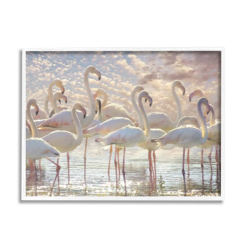 Stupell Pretty Pink White Flamingos Standing Sparkling Water Clouds Framed Wall Art - Multi-Color - 14 x 11 - White