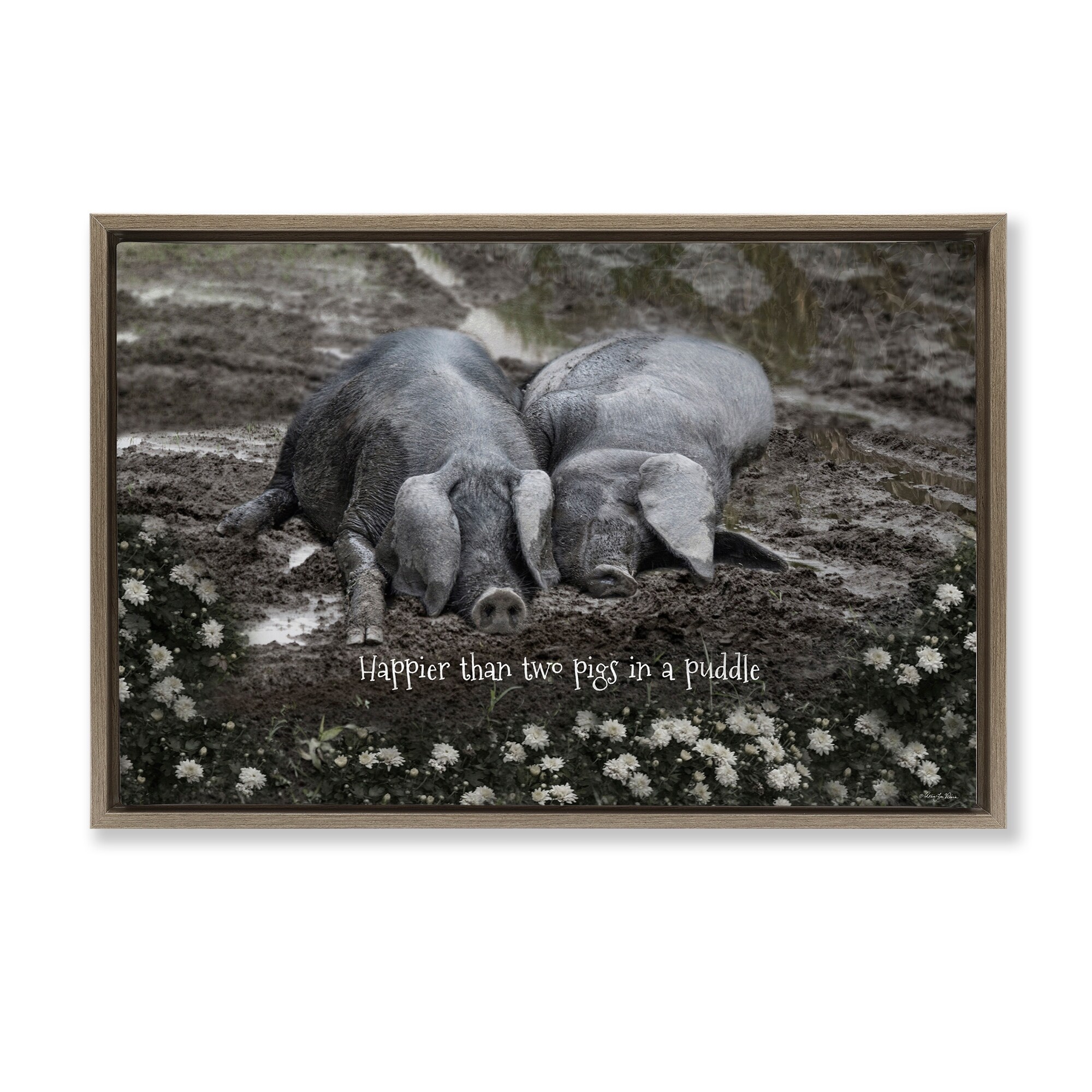 Stupell Coastal Christmas Shell & Fir Framed Giclee Art Design By Petal Prints Design