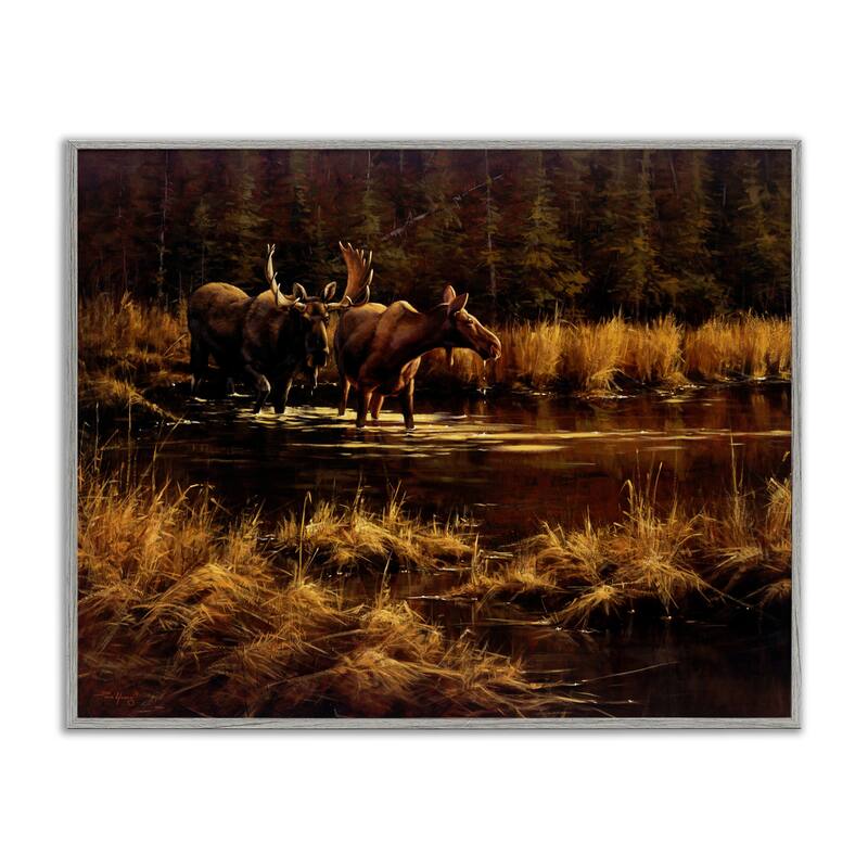 Stupell Moose Pair at Stream Framed Giclee Art Design By Paco Young - 14 x 11 - Grey