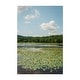Laurel Lake Pennsylvania Photography Clouds Forest Art Print/Poster ...