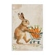 preview thumbnail 1 of 5, Stupell Carrot Connoisseur Rabbit Canvas Wall Art Design By Petals Prints Design 16 x 24