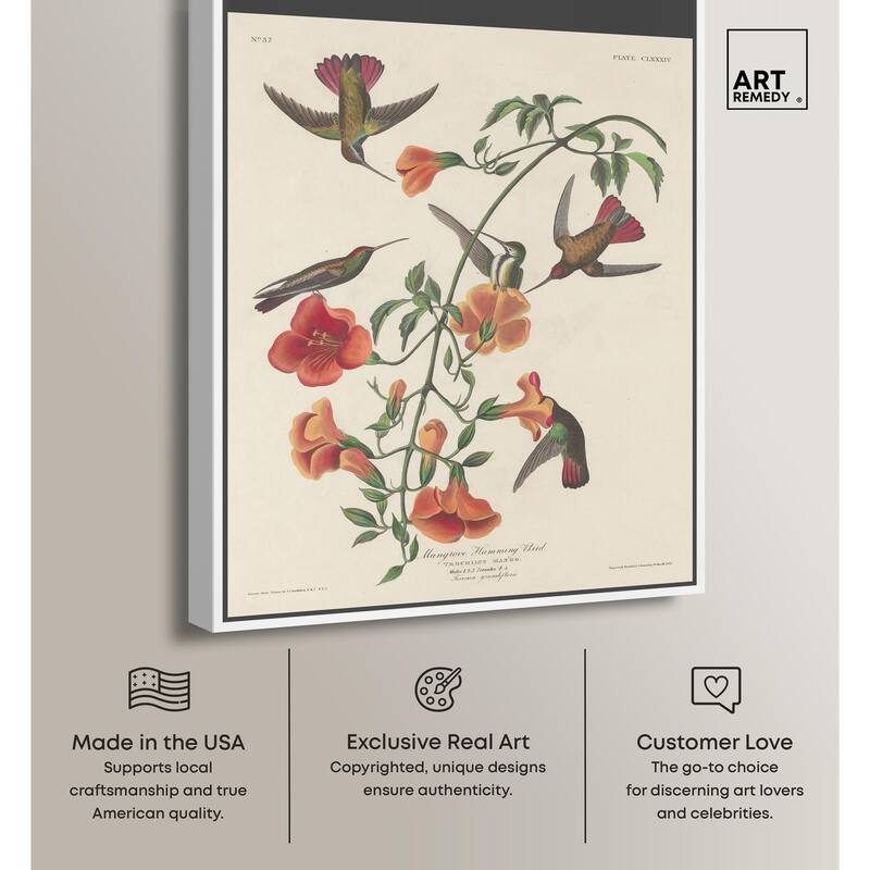Humming Bird 1834 Canvas by Art Remedy