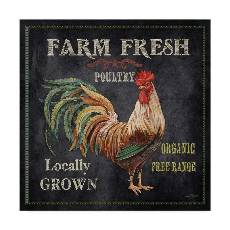 Jean Plout 'Farm Fresh Rooster' Canvas Art