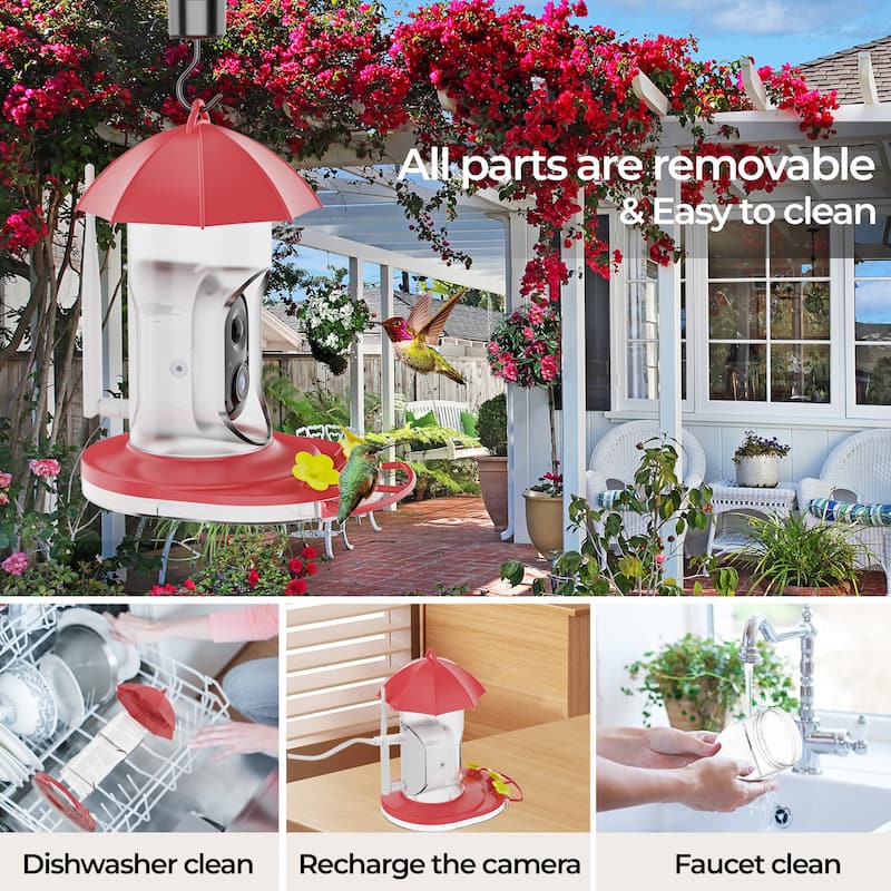 Plastic Hummingbird Feeder, 5200mAh Battery w Solar Panel and Camera IP65 Water Proof, Ant Moat and Bee-proof features