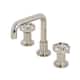 Option Polished Nickel