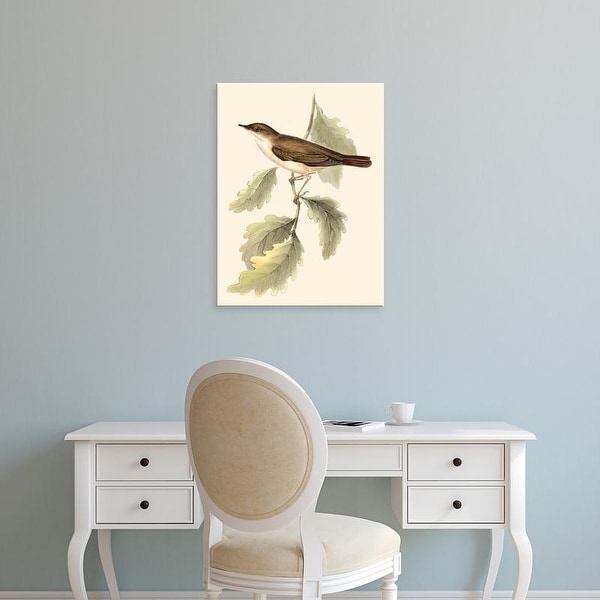 Easy Art Prints John Gould's 'Gould's Nightingale' Premium Canvas Art