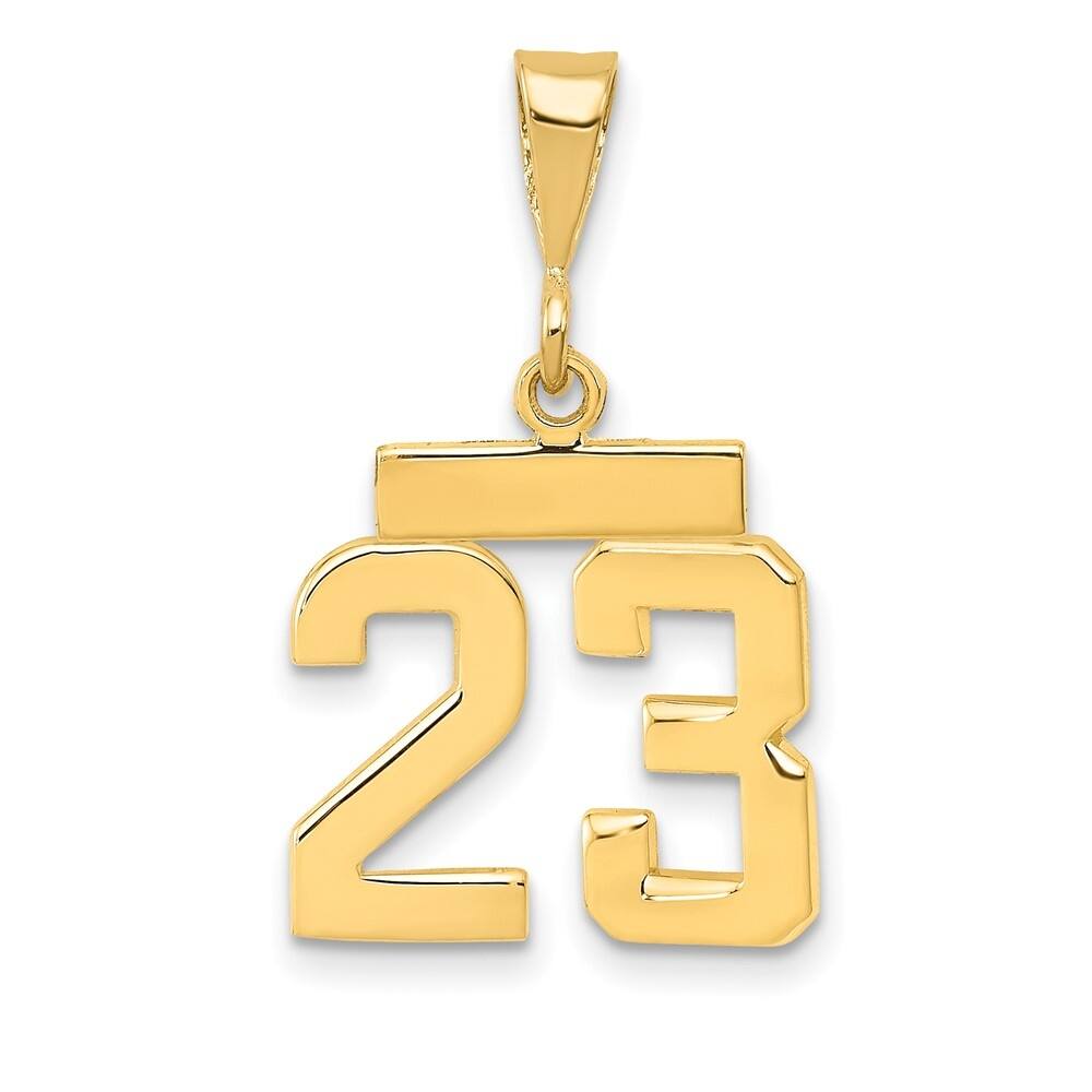 14k Yellow Gold Small Polished Number 23 Charm