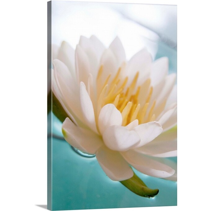 Shop Flowering Lotus Water Lily Canvas Wall Art Overstock 16476863