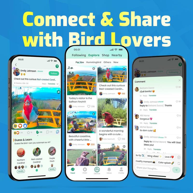 Smart Hummingbird Feeder with Camera Solar Powered