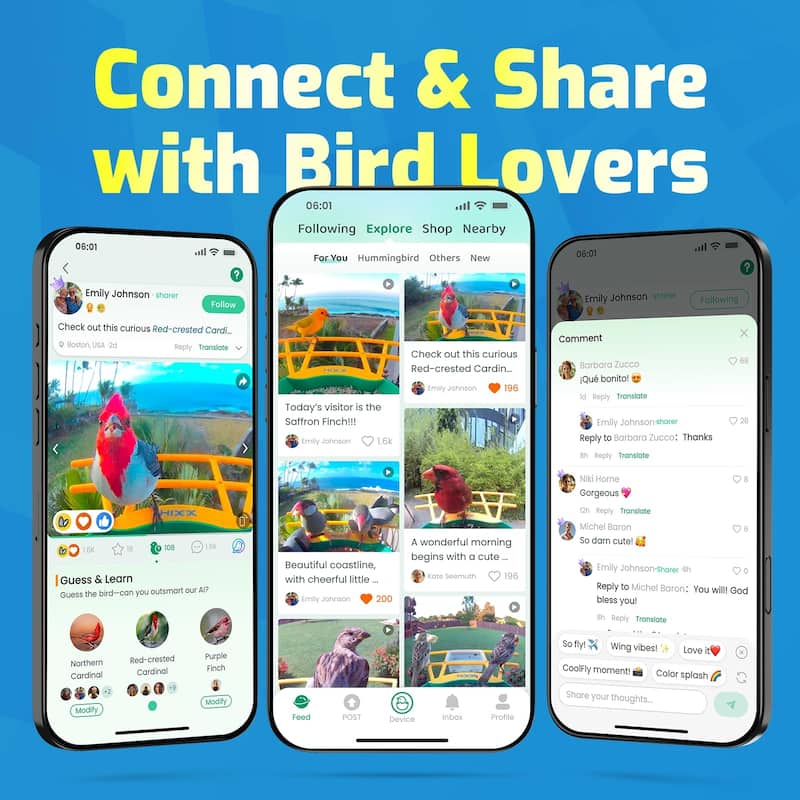 Smart Solar Bird Feeder with HD Camera and Lifetime AI Identification