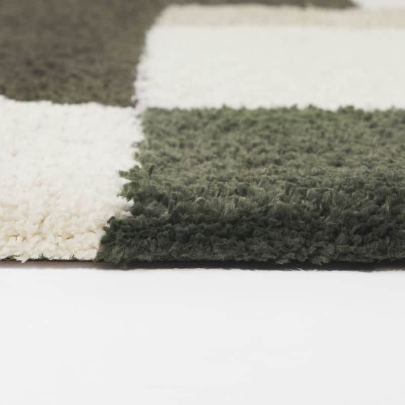 Martha Color Block Shag Area Rug