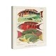 Oliver Gal 'Great Barrier Reef Fishes' Animals Red Wall Art Canvas ...