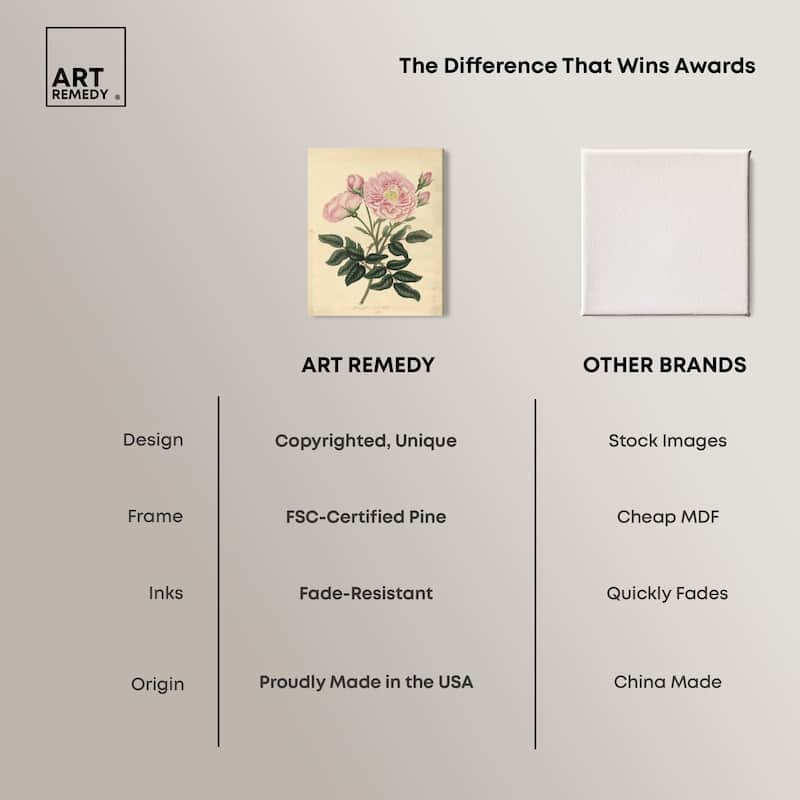 French Rose Canvas by Art Remedy, Gallery Wrapped